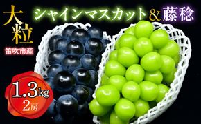 【2026年発送★先行予約】笛吹市産　大粒シャインマスカット・藤稔セット(2房)　1.3kg 227-006-26y