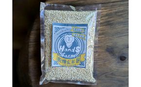 玄米乾燥麹 300g ふるさと納税 玄米 米麹 米 麹 発酵食品　HD00021