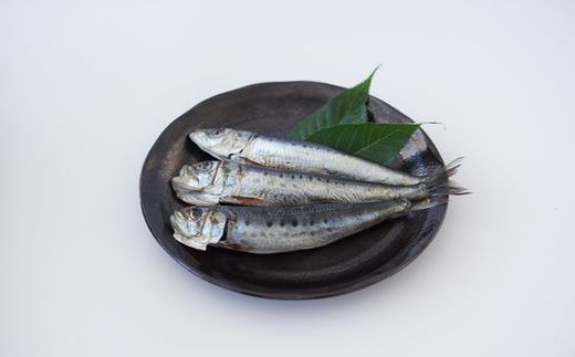 干物セット 丸干しイワシ 3匹入×3袋【宗像漁協】_HA1734