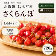 2027年発送北海道 仁木町産 7月旬 さくらんぼ 1kg（500g×2） サクランボ チェリー フルーツ 果物 果物類  仁木町 仁木 [JA新おたる]