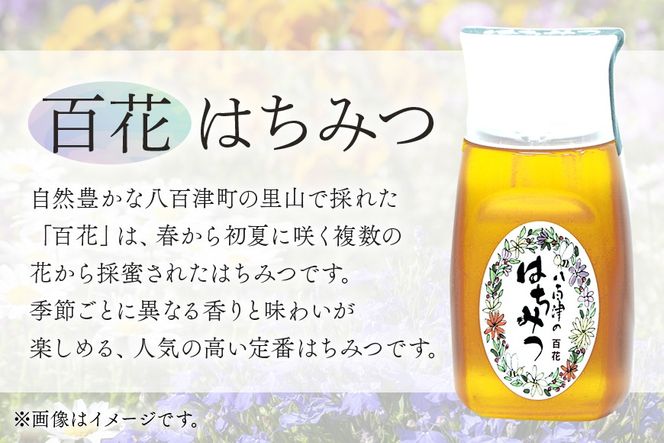はちみつ 使いやすいプラ容器入り 非加熱生はちみつ 百花 300g 2本 純粋生はちみつ 374
