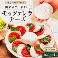  12ヶ月定期便 出来立て新鮮 モッツァレラチーズ100g  ×  4個セット 茅ケ崎産 加工食品 乳製品 チーズ 出来立て 神奈川県産 モッツァレラ 手作り Osteria e Bottega S 神奈川県 湘南 茅ケ崎 フレッシュチーズ  おつまみ ピザ