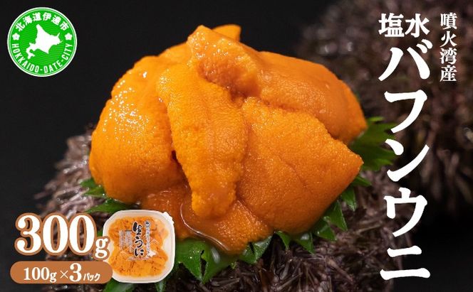 北海道 噴火湾産 塩水 バフンウニ 100g 3パック 計300g うに