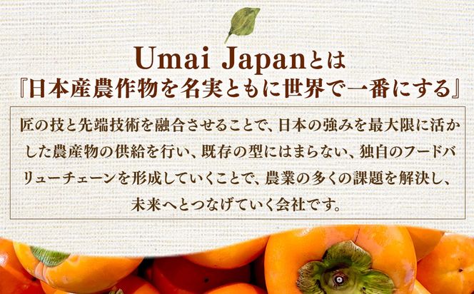 【先行予約】うま杉の富有柿 10kg 30玉(3L) ※2026年11月中旬～12月中旬頃に順次発送予定
