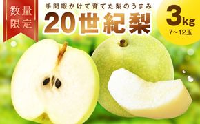 【先行予約／数量限定100】廿世紀梨 3kg（2026年9月上旬～発送）　フルーツ くだもの 国産 梨 二十世紀 20世紀 廿世紀 ふるさと 納税 梨 ふるさと納税 フルーツ ふるさと 納税 20世紀梨　FK00033