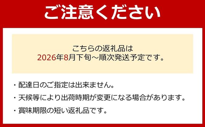 ［先行予約］和歌山 有田産 種なし BKシードレス 約1kg 2～3房 ［2026年8月下旬より順次発送予定］ DU05