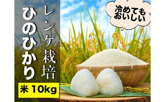 瀬戸内市のおいしい お米 「ひのひかり」 10kg（5kg×2袋）岡山県 瀬戸内市産 石黒農園 ご飯 銘柄米 炭水化物 白米 ライス 主食 和食 おにぎり お弁当 産地直送