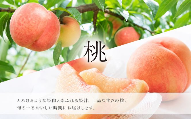 【全2回】かつらぎ町のフルーツ定期便（桃・梨）【8月・9月】 【tkb426】