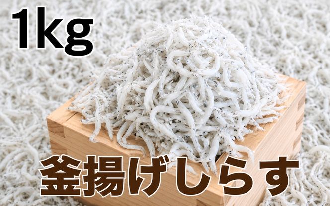 釜揚げしらす1kg(500g×2パック) / シラス 厳選 小分け 冷蔵便【dig012A】
