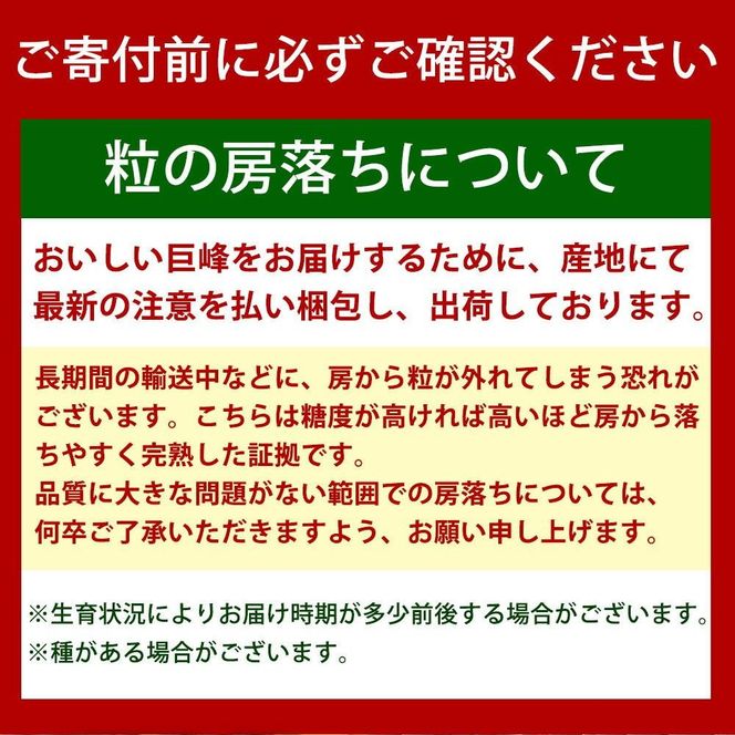 紀州有田産の巨峰ぶどう約2kg【先行予約】【2026年8月下旬以降発送予定】AN021