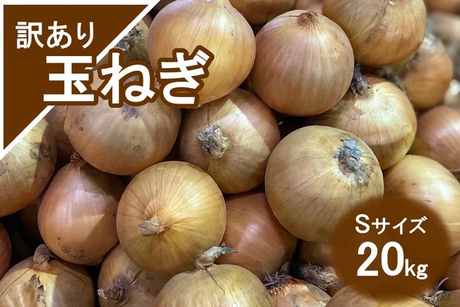 ykCkszyAzʂ˂ 20kg STCY ( kCY  ܂˂ 킯 )y009-0005z