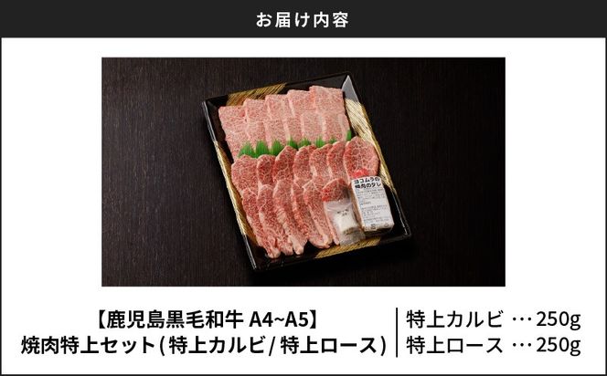 【鹿児島黒毛和牛A4～A5】焼肉特上セット(特上カルビ/特上ロース)　K189-007