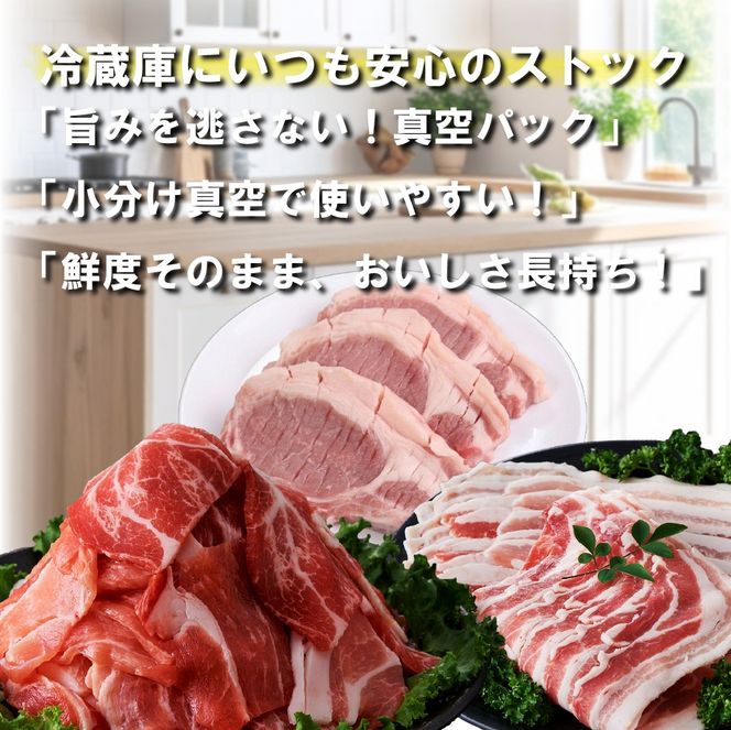 【定期便・全3回】九州産豚肉3種セット定期便(大容量 九州産豚肉 国産豚肉 炒め物 しゃぶしゃぶ とんかつ 焼肉 生姜焼き 肉じゃが カレー 豚汁)
