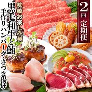 定期便(2回配送)枕崎お楽しみ便(黒毛和牛・まぐろ・手作りハンバーグ・さつまあげ等) DD-6002 【1166747】