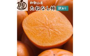 家庭用 訳あり たねなし 柿 5kg 【刀根早生・平核無柿（ひらたねなしかき）】