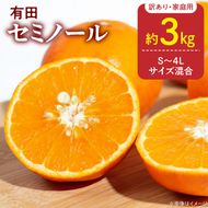【2027年先行予約】訳あり 家庭用 きよみ 清見オレンジ 和歌山 有田 S～4Lサイズ混合 約3kg_DZ6224