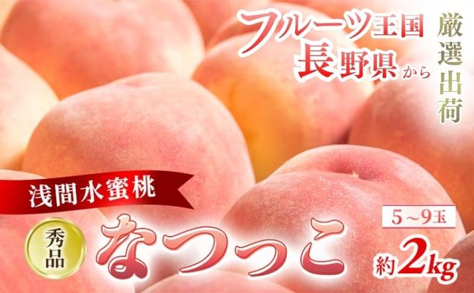 【2026年8月中旬～発送予定】 先行予約 「浅間水蜜桃プレミアム」 もも なつっこ 秀品 約2kg 5～9玉 贈答品 ふるさと納税 果物 桃 フルーツ モモ 果肉  長野県産 小諸市 