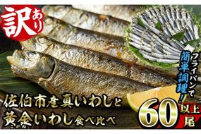 ＜訳あり＞佐伯市産真いわしと黄金いわし 食べ比べ (2種・60尾以上) 国産 大分県産 イワシ 黄金いわし 丸干し 魚 海鮮 冷凍 おつまみ 小分け【GX003】【(有)マルサン商店】