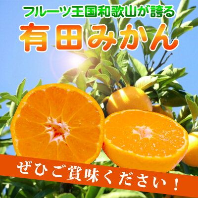 AT6310_【2026年先行予約】ご家庭用　有田みかん 約10kg (M、Lサイズ)【湯浅町】