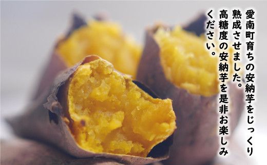 訳あり 熟成 安納芋 10kg サイズ混合 サツマイモ 焼き芋 干し芋 丸干し 冷凍焼き芋 冷やし焼き芋 やきいも 蜜芋 ほしいも スイートポテト フライドポテト いも天 サイズミックス  甘い ねっとり しっとり ほくほく 生芋 新芋 芋 いも 甘藷 あんのういも スイーツ おかず さつまいも 国産 人気 糖度 産地直送 農家直送 数量限定 14000円 愛媛県 愛南町 ミッチーのおみかん畑
