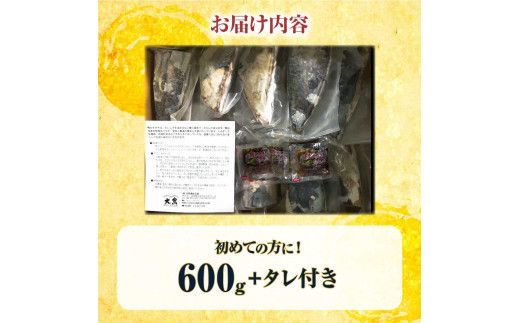 かつおのたたき 訳あり 鰹タタキ 600g カツオのタタキ カツオのたたき 藁焼き 鰹 訳アリ わけあり 訳 刺身 魚 海鮮 魚介 土佐 本場 不揃い 規格外 春 旬 食べ物 おかず グルメ おいしい【株式会社大熊】 [BQAA009]