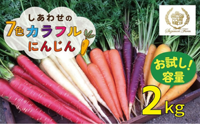 〈予約受付〉メディア出演多数！【期間限定】（お試し） 冬の寒さでぎゅっと濃い！虹色のカラフルにんじん 2kg 鈴盛農園 農家直送 甘い スーパーフード 健康 自慢 ジュース サラダ ギフト 贈り物 βカロテン ポリフェノール リコピン ジューシー 試用 自慢 おためし H022-015
