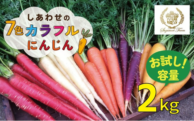 〈予約受付〉メディア出演多数！【期間限定】（お試し） 冬の寒さでぎゅっと濃い！虹色のカラフルにんじん 2kg H022-015