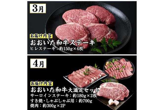 ＜先行予約受付中！2026年1月中旬より配送開始＞＜定期便・全4回＞味力全開！佐伯の極み 冬春定期便(月1回お届け) 鰤 ブリ とらふぐ 刺身 ふぐ 鍋 ステーキ ヒレ サーロイン しゃぶしゃぶ 焼肉 セット 【BR119】【佐伯市ふるさと納税事業者協議会】