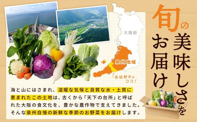 010B1544 【スピード発送】季節の泉州野菜 10種 おまかせセット ピクルスの素 2袋付き いずみピクルス NSW