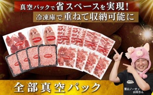 全部真空パック！「おさつポーク」バラエティ3.9kgセット_21-1401_(都城市) 豚肉 小分け 真空 ヒレ トンカツ ロース 豚カツ カット 焼肉用 カット肉 バラ 小間切れ ミンチ 栗山ノーサン 肉 ポーク 国産 とんかつ用 焼肉用 脂身 甘い