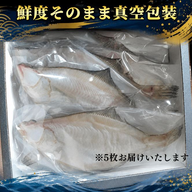 特大エテカレイ 一夜干し 5枚 [ カレイ 干物 小分け 個包装 ] myz02 myz11 myz17