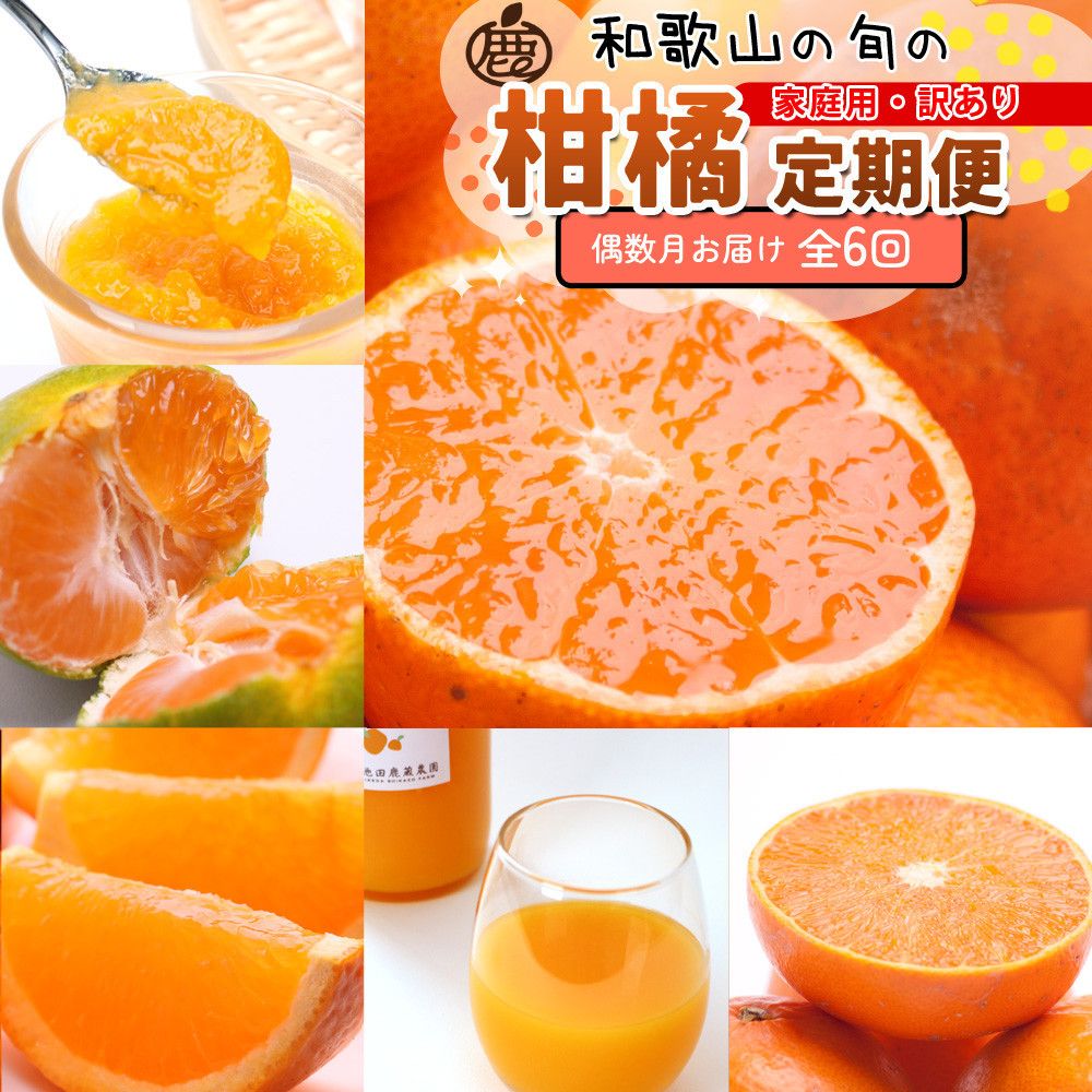 家庭用 柑橘定期便S(偶数月)全6回 [IKE302] 303446_BB90211