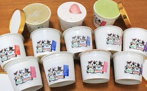 オリジナル  ジェラ−トアイス12個セット（ミルク・抹茶・ほうじ茶・いちご） お菓子 ジェラトアイス 