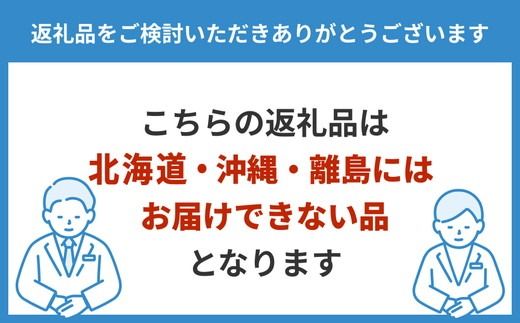 天然水晶　大ぶりピアス　※北海道・沖縄・離島への配送不可