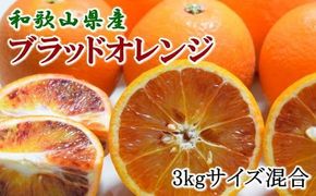【希少・高級柑橘】国産濃厚 ブラッド オレンジ 「タロッコ種」3kg ※2027年4月上旬～5月上旬順次発送 / 果物 フルーツ くだもの 柑橘 【tec503A】