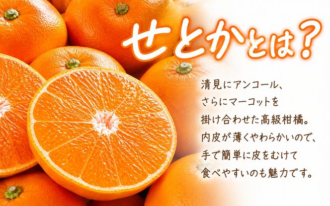 【ご家庭用訳あり】ジューシー柑橘 せとか 約3kg【先行予約】※2027年2月中旬頃〜2027年3月中旬頃発送予定（お届け日指定不可） せとか みかん ミカン 柑橘 フルーツ 果物 くだもの【uot834A】