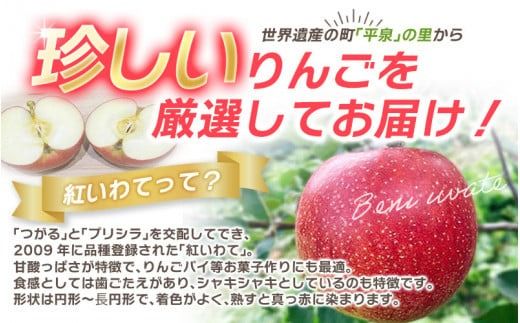 【令和7年度分予約受付】大文字りんご園 紅いわて 約3kg(7～10玉)【2025年9月下旬頃より順次発送】/ りんご リンゴ 林檎 果物 くだもの フルーツ 甘い 旬 産地直送 予約 先行予約【dma513-bi-3C】