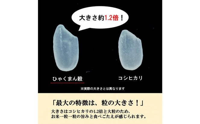 【令和8年産】【日本農業賞大賞】ひゃくまん穀9kg(4.5kg×2袋)精白米 能美市 お米 精米銘柄米 精米したて 一等米 172111_AE004