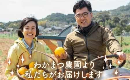 【全3回定期便】【 植物 由来 】 万能 濃縮 甘夏 みかん 洗剤 糸島市 / わかまつ農園 [AHB020]