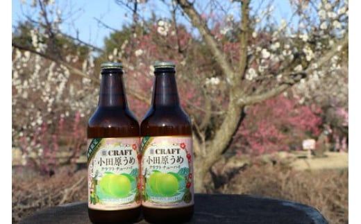 小田原うめクラフトチューハイ　48本セット 142069_AX024