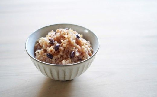 発芽酵素玄米 15食セット【MINORI CAFÉ 発酵食カフェ】_HA1772