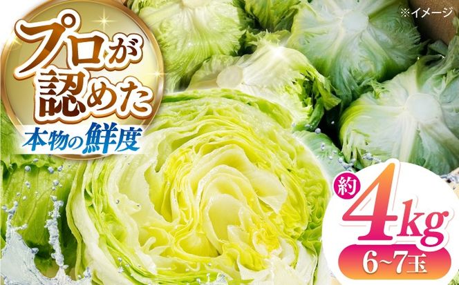 レタス 約4kg（6〜7玉）/ れたす 野菜 やさい / 南島原市 / 株式会社松尾青果[SGU006]