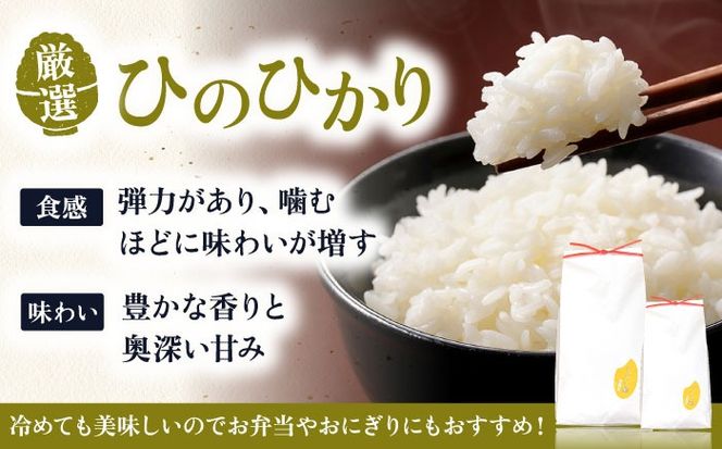いとし米 厳選ひのひかり20kg (糸島産)　糸島市 / 三島商店[AIM077] 米 お米 ご飯 白米 ひのひかり ヒノヒカリ 九州 福岡