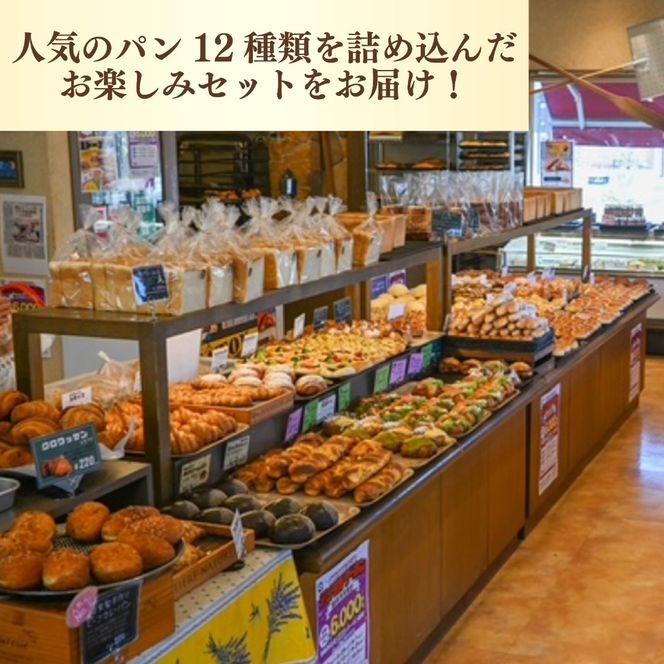 【種類はおまかせ】 冷凍 パン 12種類 セット カレーパン 惣菜パン 菓子パン ハード 食品 冷凍 温めるだけ おまかせ 冷凍パン おまかせパン 詰め合わせ ベーカリー ぱん ビーフカレーパン 自家製パン 静岡県 藤枝市