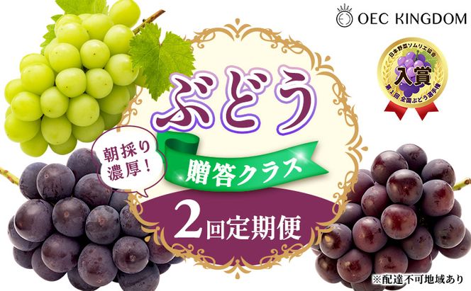 ぶどう 2026年 先行予約 贈答クラス 2回 定期便 ピオーネ オーロラブラック シャインマスカット ブドウ 葡萄 岡山県産 国産 フルーツ 果物 ギフト OEC KINGDOM ぶどう家 果物類
