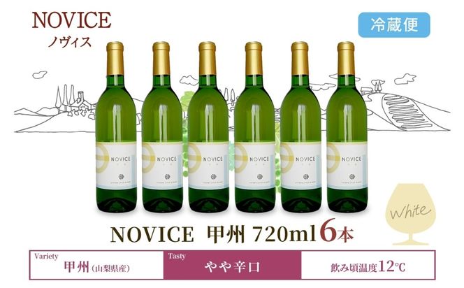 白ワイン NOVICEノヴィス 甲州 720ml×6本 フルボトル ワイン お酒 白 山梨 送料無料 日川中央葡萄酒 山梨県 笛吹市 177-7-30