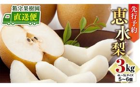 【 先行予約 】箱守果樹園 直送！ 恵水梨 3kg なし 梨 果実 果物 フルーツ [DE003ci]