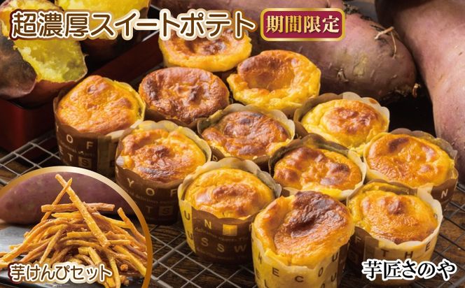 y{򍲖sz010B1760 yԌẑ ZXC[g|eg+ t