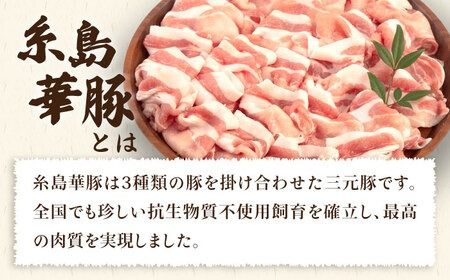 【全12回定期便】糸島 華豚 ロース 肉 スライス しゃぶしゃぶ 用 600g 糸島市 / 糸島ミートデリ工房 [ACA328]