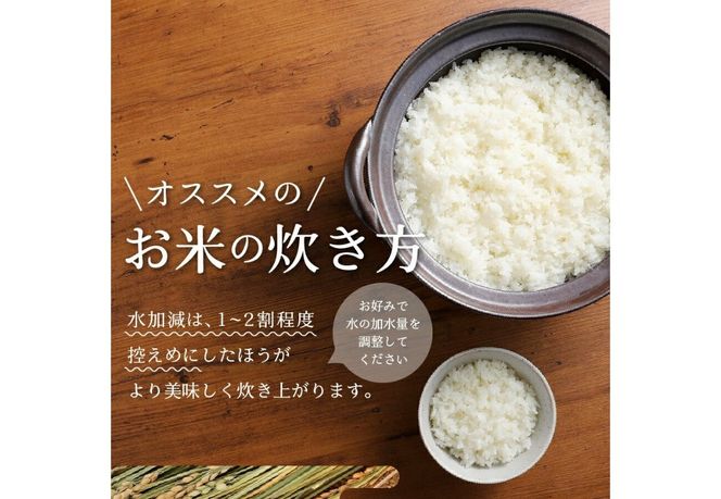 令和8年産 米 5kg 富士吉田市産 『美富士の夢来ゴールド』選べる種類 【 精米 / 無洗米 】  白米 こめ 希少米 極上 五ッ星 厳選 山梨 富士吉田